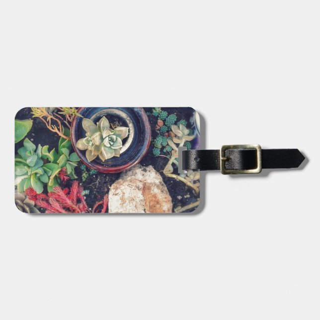 Succulents Luggage Tag (Front Horizontal)