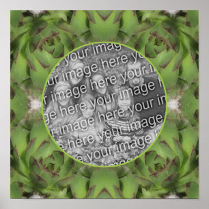 Succulents Nature Frame Create Your Own Photo Poster