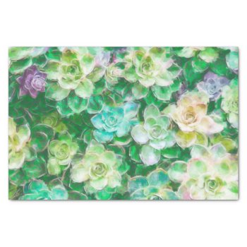 Succulents Painting By Cindy Bendel Tissue Paper by cbendel at Zazzle
