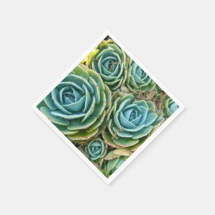 Succulents Paper Napkins