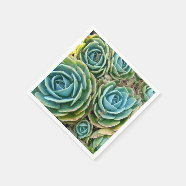 Succulents Paper Napkins (Corner)