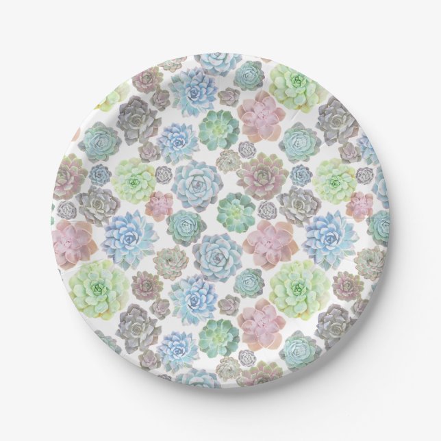 Succulents paper plate (Front)