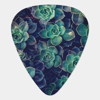 Succulents Pattern Guitar Pick