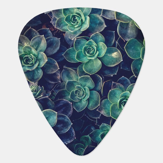 Succulents Pattern Guitar Pick (Front)