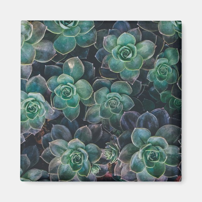 Succulents Pattern Magnet (Front)