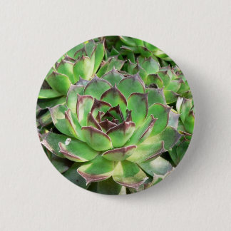 Succulents Pinback Button