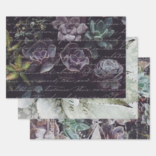 SUCCULENTS  SCRIPT HEAVY WEIGHT DECOUPAGE WRAPPING PAPER SHEETS