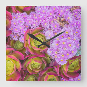 Succulents Square Wall Clock