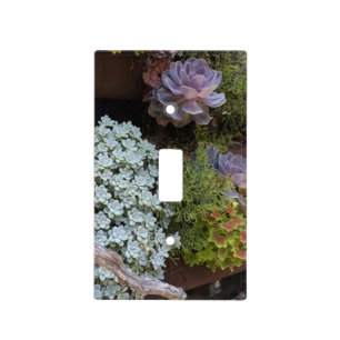 Succulents Switch Plate