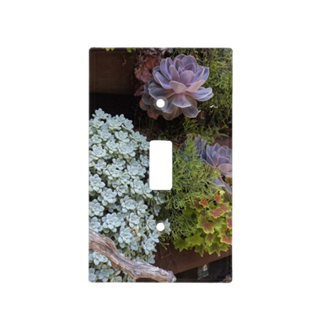 Succulents Switch Plate (Front)