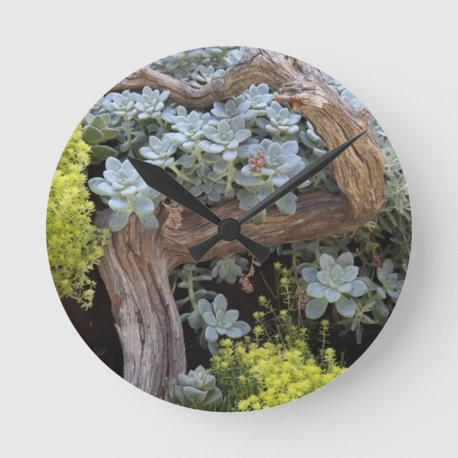 Succulents wall clock (Front)