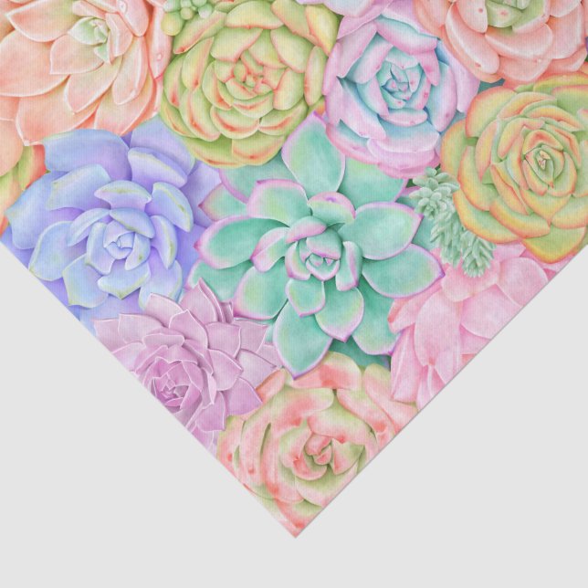 Succulents Watercolor Cute Colorful Pastel Tissue Paper | Zazzle
