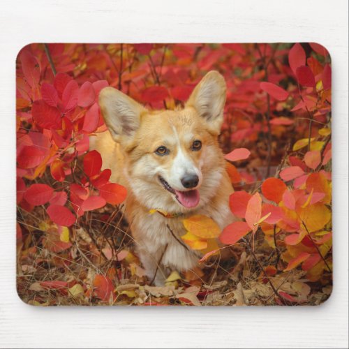 Such a Good Boy Mouse Pad