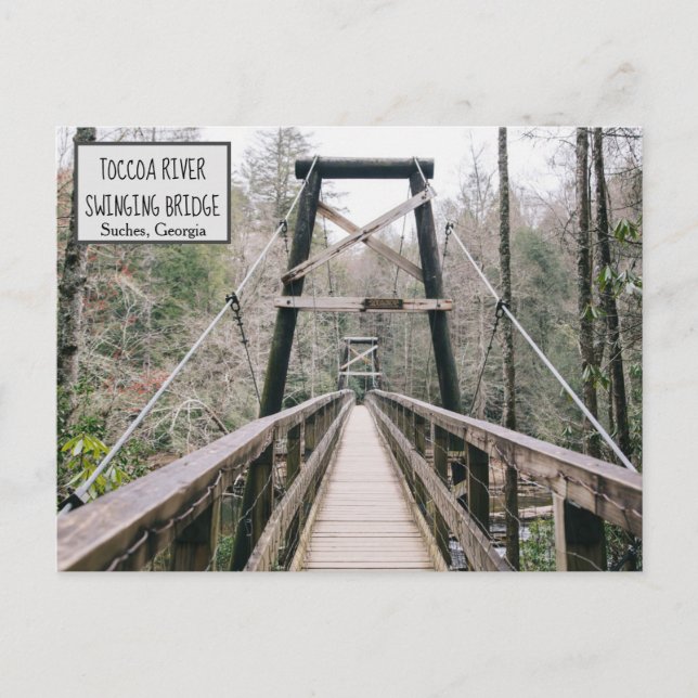 Suches, Georgia Weirdly Wonderful GA Toccoa Postcard (Front)