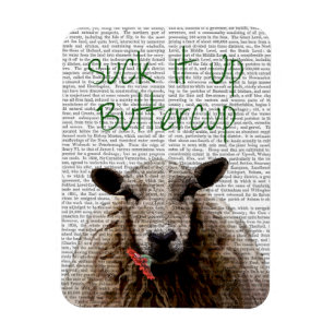 Suck It Up Buttercup Magnet