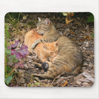 Suckling Ginger Cat Mouse Pad