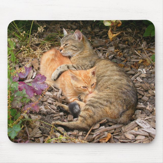 Suckling Ginger Cat Mouse Pad (Front)