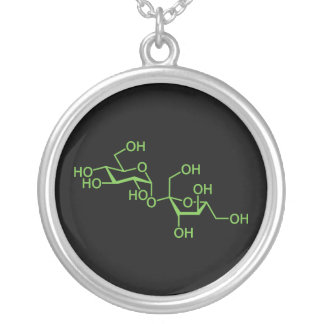 Sucrose Sugar Molecule Chemical Diagram Silver Plated Necklace