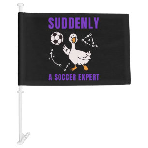 Suddenly a soccer expert car flag