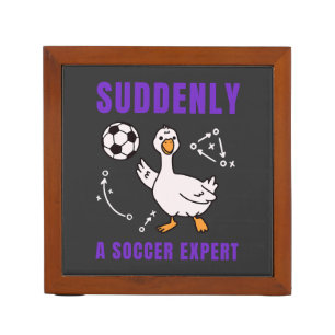 Suddenly a soccer expert desk organizer