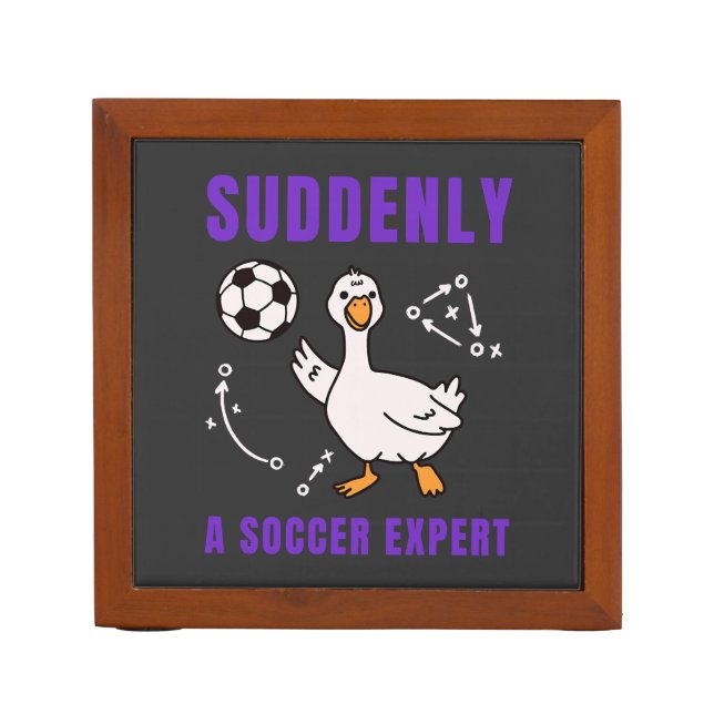 Suddenly a soccer expert desk organizer (Front)