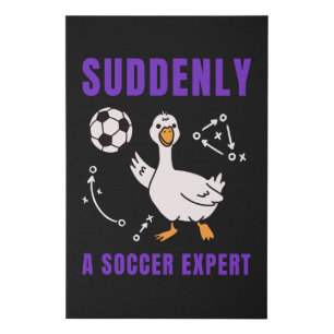 Suddenly a soccer expert faux canvas print