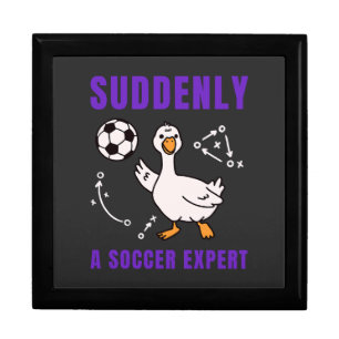 Suddenly a soccer expert gift box