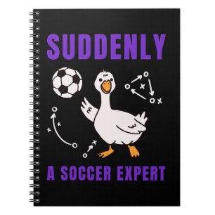 Suddenly a soccer expert notebook