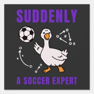 Suddenly a soccer expert sign