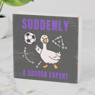 Suddenly a soccer expert wooden box sign