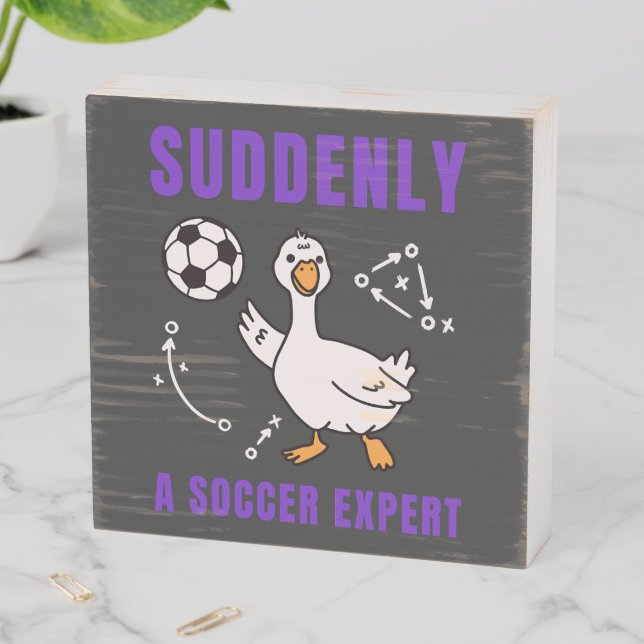 Suddenly a soccer expert wooden box sign (In Situ Horizontal)