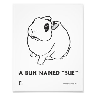 SUE PHOTO PRINT