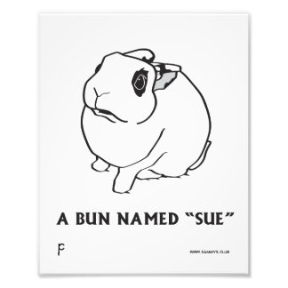 SUE PHOTO PRINT