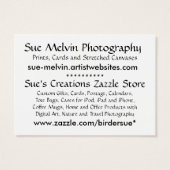 Sue's Business Card (Back)