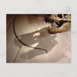 Sue's Shadow Postcard