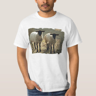 Suffolk Sheep Pastoral Pasture or Barnyard Scene T-Shirt
