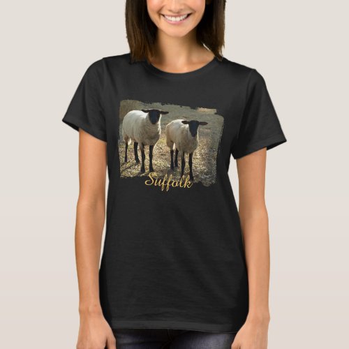 Suffolk Sheep Sunlight Pasture or Barnyard Scene T_Shirt