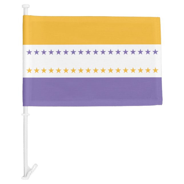 Suffrage Victory Flag Votes for Women (Front)