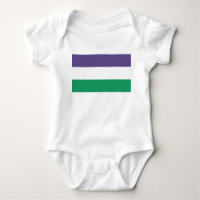 Suffragette Flag