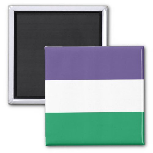 Suffragette Flag Magnet