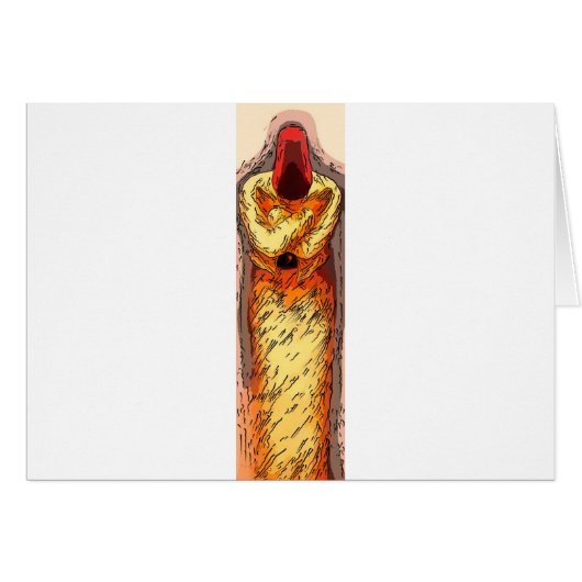 sufi standing cards (Front Horizontal)