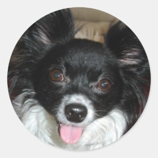 Sugar Baby Classic Round Sticker