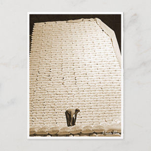 Sugar Bags, History, Puerto Rico Postcard