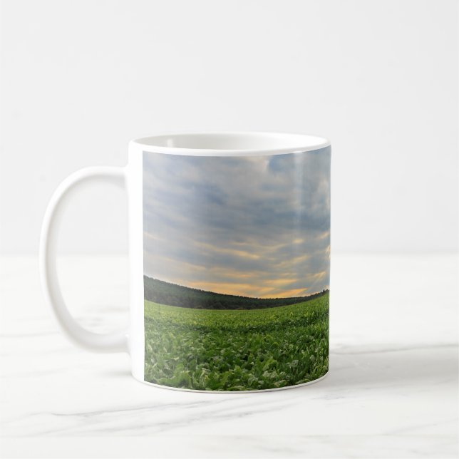Sugar Beet Field at Sunset Coffee Mug (Left)