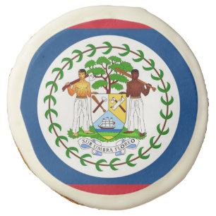Sugar cookies with flag of Belize