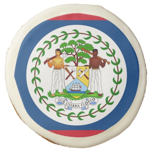 Sugar cookies with flag of Belize (Front)