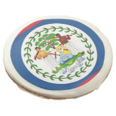 Sugar cookies with flag of Belize (Angled)