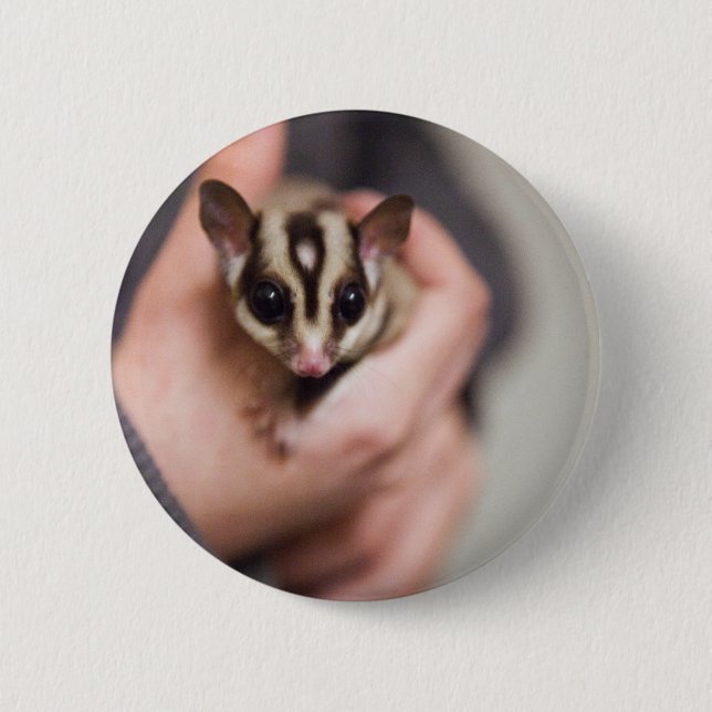 Sugar Glider button (Front)