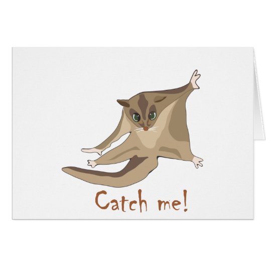 sugar glider cards (Front Horizontal)