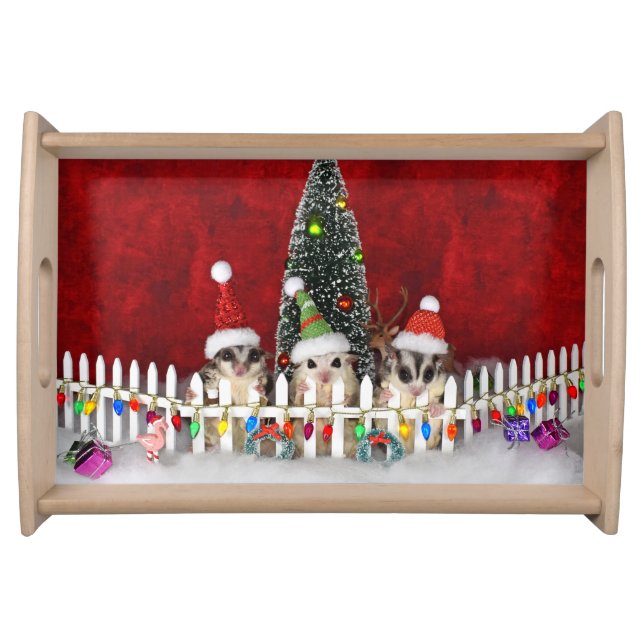 Sugar Glider Christmas Serving Tray (Front)